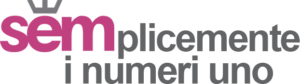 SEMplicemente i numeri uno